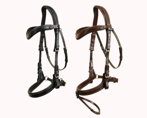 Bridle